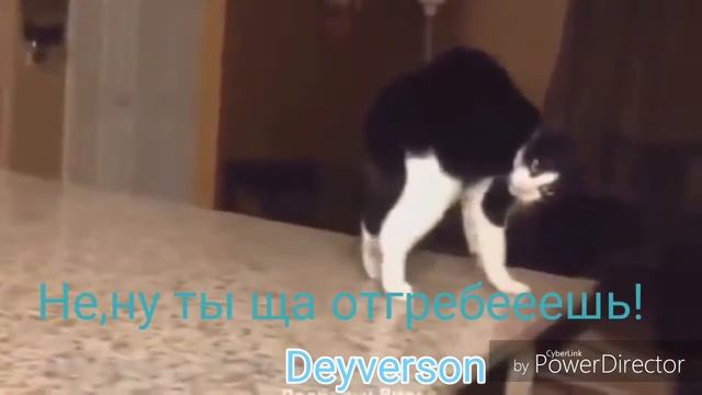 #НЕГРУСТИ #2 смотреть онлайн