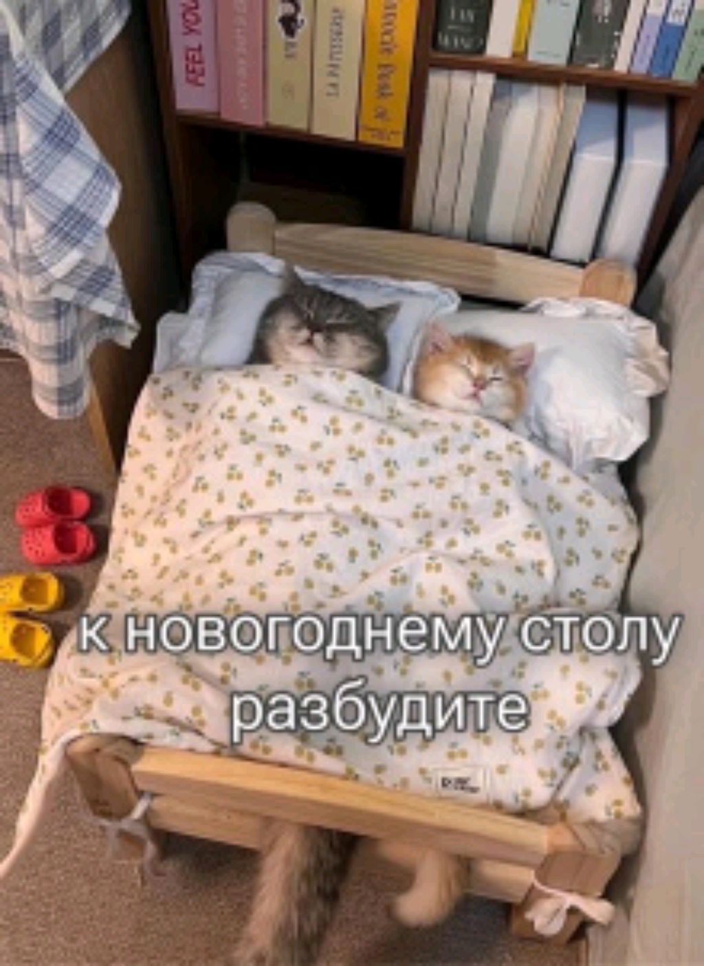 не одного лайка😓 и подписки 😓 смотреть онлайн