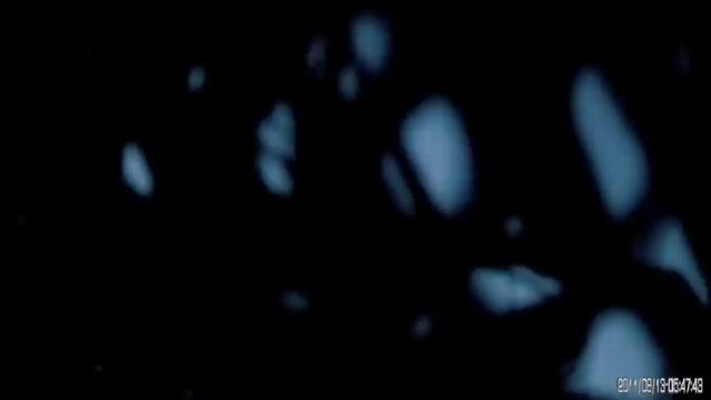 гуси 2012.wmv смотреть онлайн