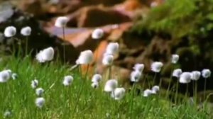 Совершенный Бог