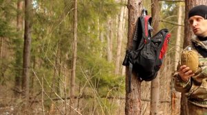 лесной прохват / поиск нового места...