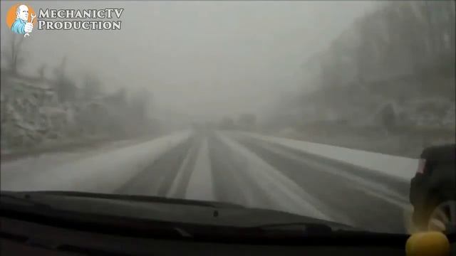 Подборка приколов за Август 2015 #5 Попугай троллит собаку смотреть онлайн