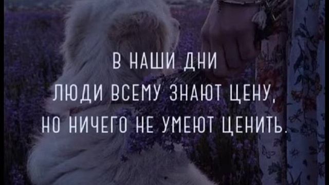 Мудрые мысли, умные слова! смотреть онлайн