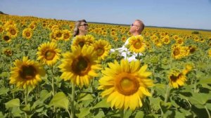 Ильназ Бах & Гузель Идрисова - Син кирэк (Премьера клипа, 2022)