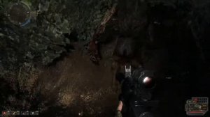 stalker СВЯЗЬ ВРЕМЕН ВРЕМЯ АЛЬЯНСА 3 [  Леший и его тайник. Арт оборотень ]  # 11