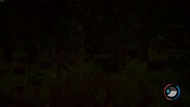 TheForest (1)