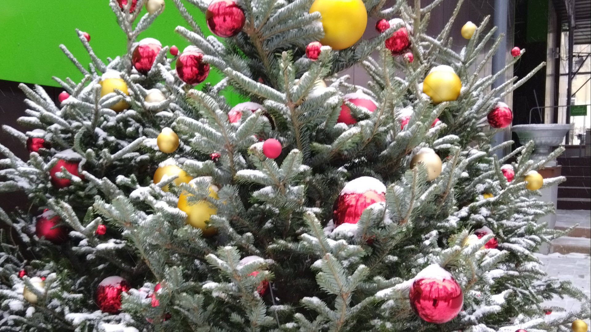 С Новым 2025 годом! 🎄 Цигун для всех