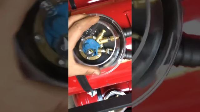 5 февраля 2021 г.