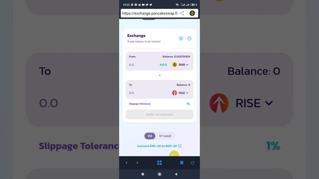 Everrise Crypto - How to buy Everrise Token (Rise) on Pancakeswap | New Gem смотреть онлайн