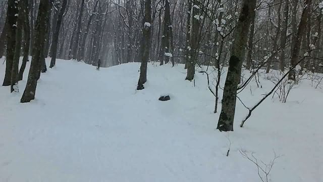 Зима к завершению. Времяпровождение с пользой)) смотреть онлайн