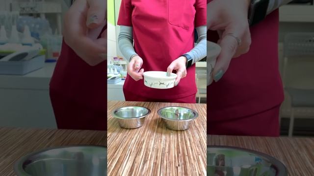 Шведский стол в котонай💚 смотреть онлайн