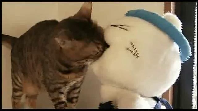 映画『猫ラーメン大将』予告編 смотреть онлайн