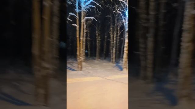 Архангельская область Новодвинск Прогулка по Новогоднему❄ городу #стрим #север #зима #новыйгод смотреть онлайн