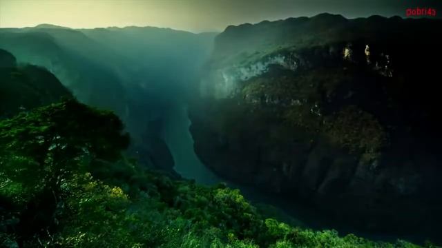 Омар Хайям - Мудрые Слова _Путь К Успех смотреть онлайн