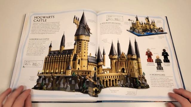 LEGO Harry Potter Review: Visual Dictionary With Minifig (2024 Book)