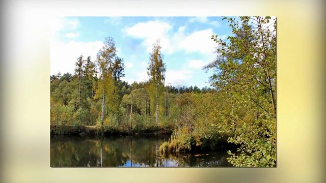 Октябрьский лес смотреть онлайн