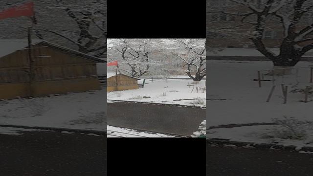 1 снег в моём городе (осенью) смотреть онлайн