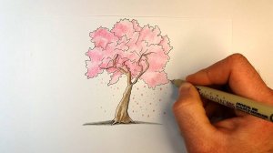 Как нарисовать Сакуру