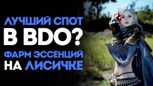 ЛУЧШИЙ СПОТ В BDO? — ГАЙД ПО ЗАСТАВЕ КРАСНЫХ РАЗБОЙНИКОВ СТРАНЫ УТРА! ЛИСИЧКА, ДАЙ КАМУШКОВ...