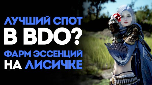 ЛУЧШИЙ СПОТ В BDO? — ГАЙД ПО ЗАСТАВЕ КРАСНЫХ РАЗБОЙНИКОВ СТРАНЫ УТРА! ЛИСИЧКА, ДАЙ КАМУШКОВ...