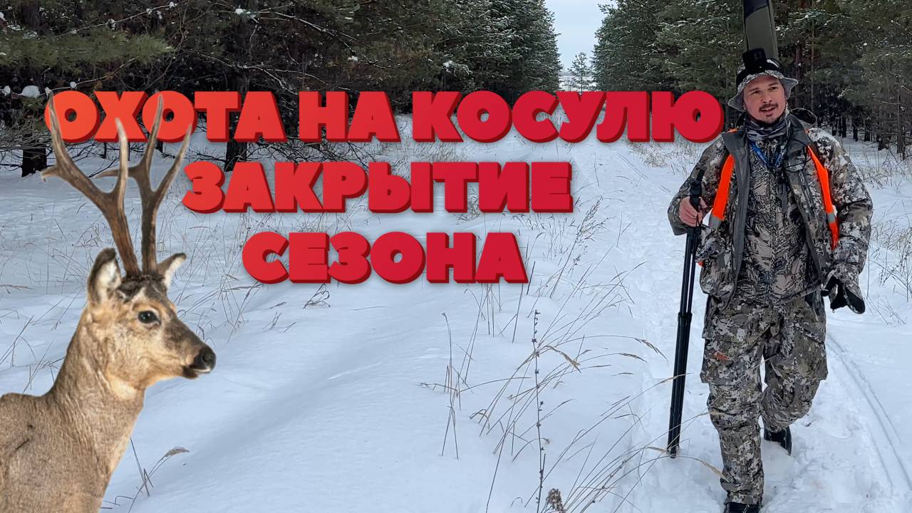 ЗАКРЫТИЕ 2024. Охота на косулю смотреть онлайн