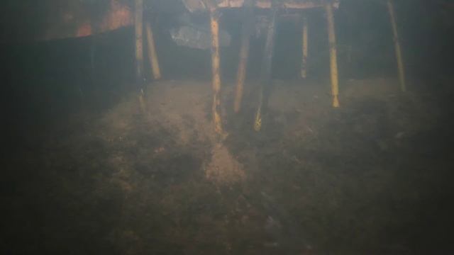 Карась проплывает весна март смотреть онлайн