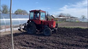 Сажаем картошку на Т-25 2020