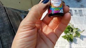 Объединение двух семей