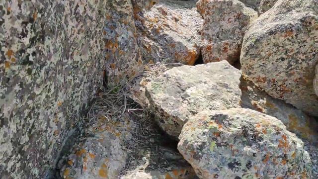 Подъём на самую вершину горы Моголтау в городе Худжанд Согдийской области Таджикистан ... смотреть онлайн