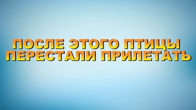 ПОЧЕМУ НЕТ ВИДЕО | Птица ТВ смотреть онлайн