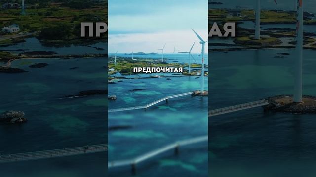 Франция - правые идут к власти смотреть онлайн