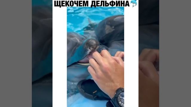 Щекотка смотреть онлайн