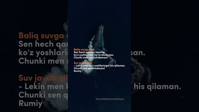 VID_20230531_150100_653.mp4