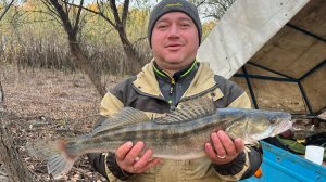 Рыбалка в Астрахани. Ловля на отводной поводок. Бешеный клёв.
