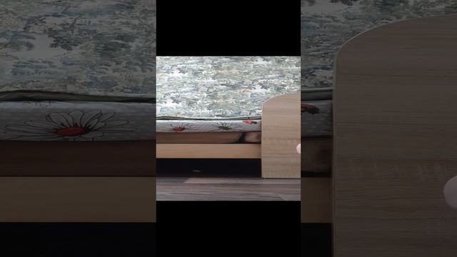 1000003549.mp4 смотреть онлайн