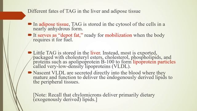 TAG synthesis and regulation of lipid metabolism смотреть онлайн