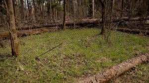 поход  с бензиновым примусом Шмель 1