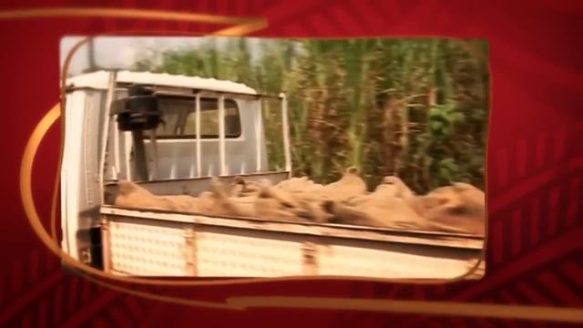 Sustainable Cocoa: The Cargill Cocoa Promise смотреть онлайн