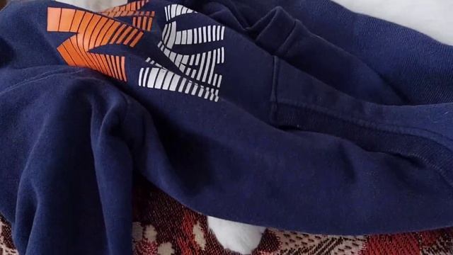 ШОК!!! НА МОЕГО КОТА НАПАЛА КОФТА! БУДЬТЕ ОСТОРОЖНЫ! смотреть онлайн