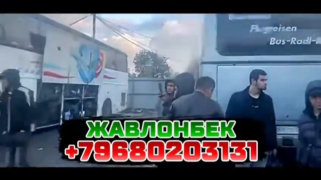 россия-узбекистан такси москва-ташкент Худжанд санкт-петербург-ташкен Худжанд автобус#автобусроссия