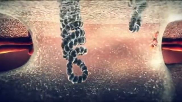 How does Influenza virus work? смотреть онлайн