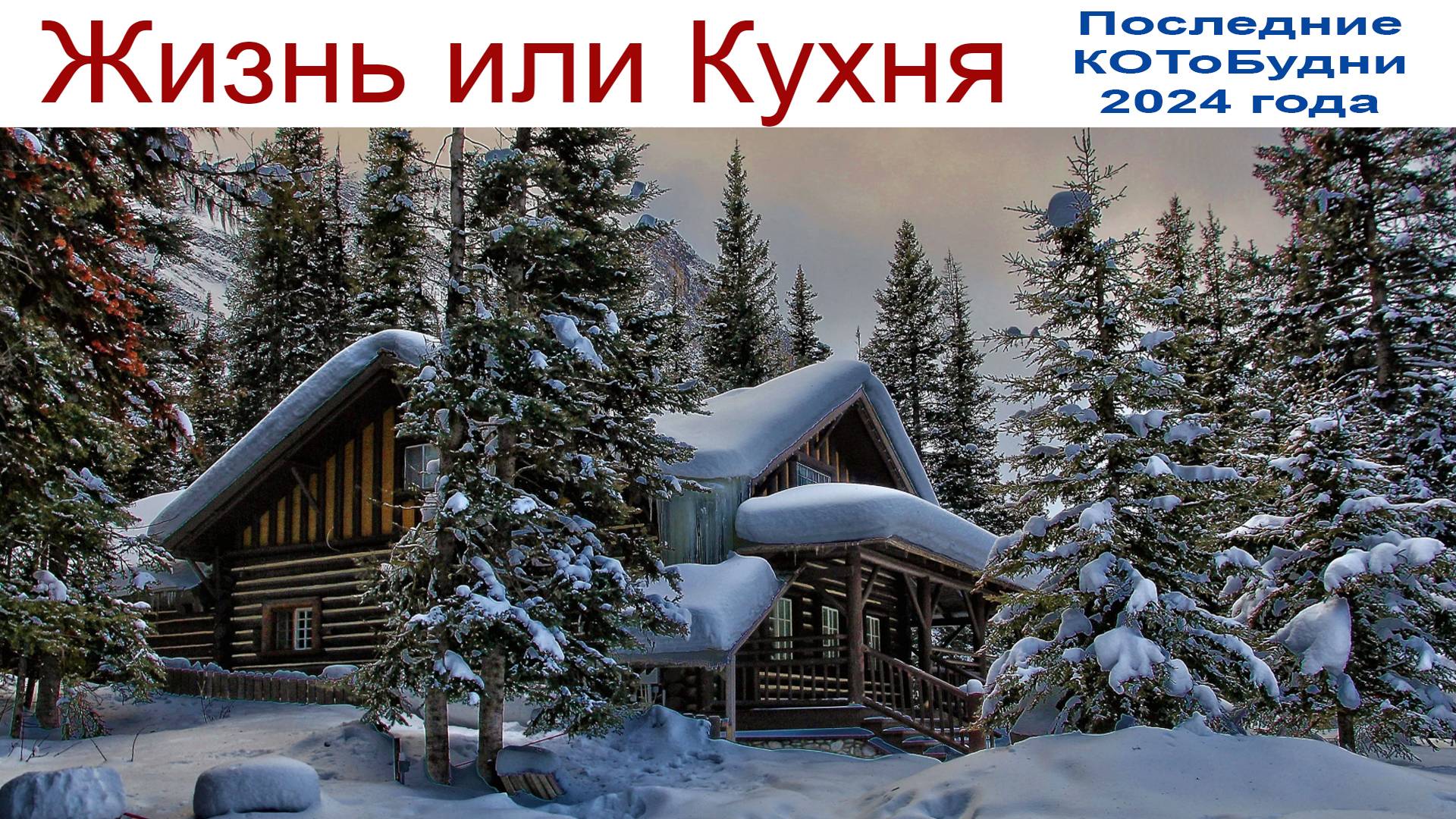 Жизнь и Кухня или КОТоБудни от 31.12.2024 г. смотреть онлайн