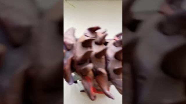 ультимазавр смотреть онлайн