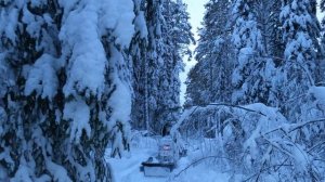 День проведённый в лесу, в счёт жизни не идёт!!!