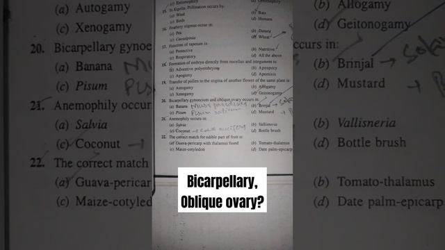Bicarpellary, Oblique Ovary | Solanaceae Family