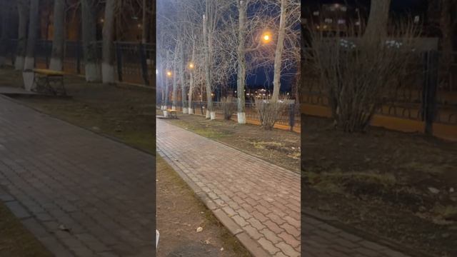 Архангельская область Новодвинск Выходные Прогулка по городу #север #стрим #арктика #прогулка смотреть онлайн