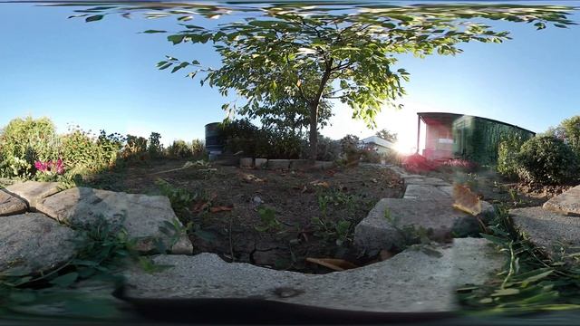 Огородный рассвет