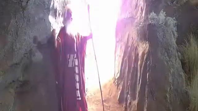 mouses_test_video смотреть онлайн