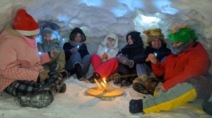 Александр Городницкий. "Снег"