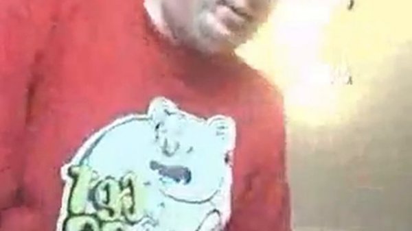 курнул чутка нума нума е